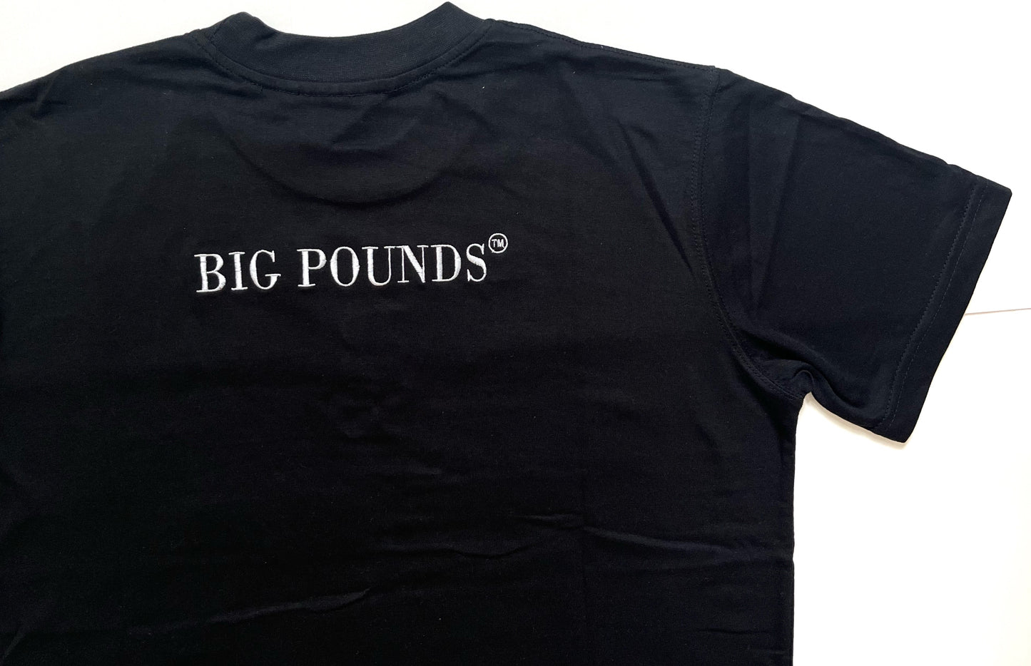 Big Pounds B£ Origin T-shirt
